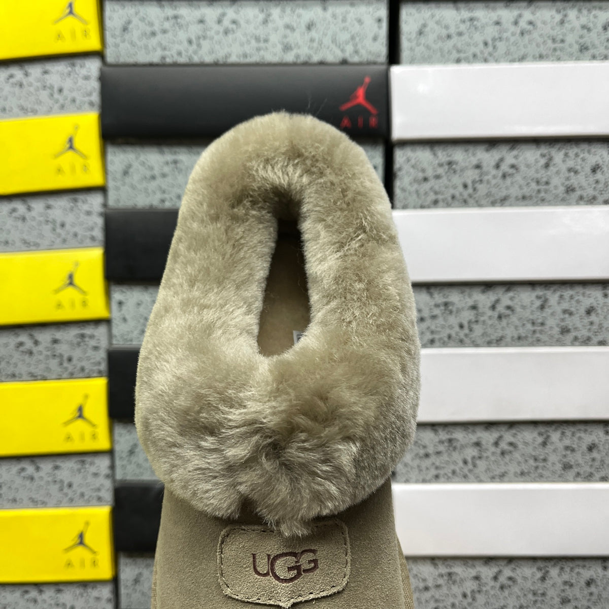 UGG Classic Mini Boot – Antilope (Sizes 35–40)