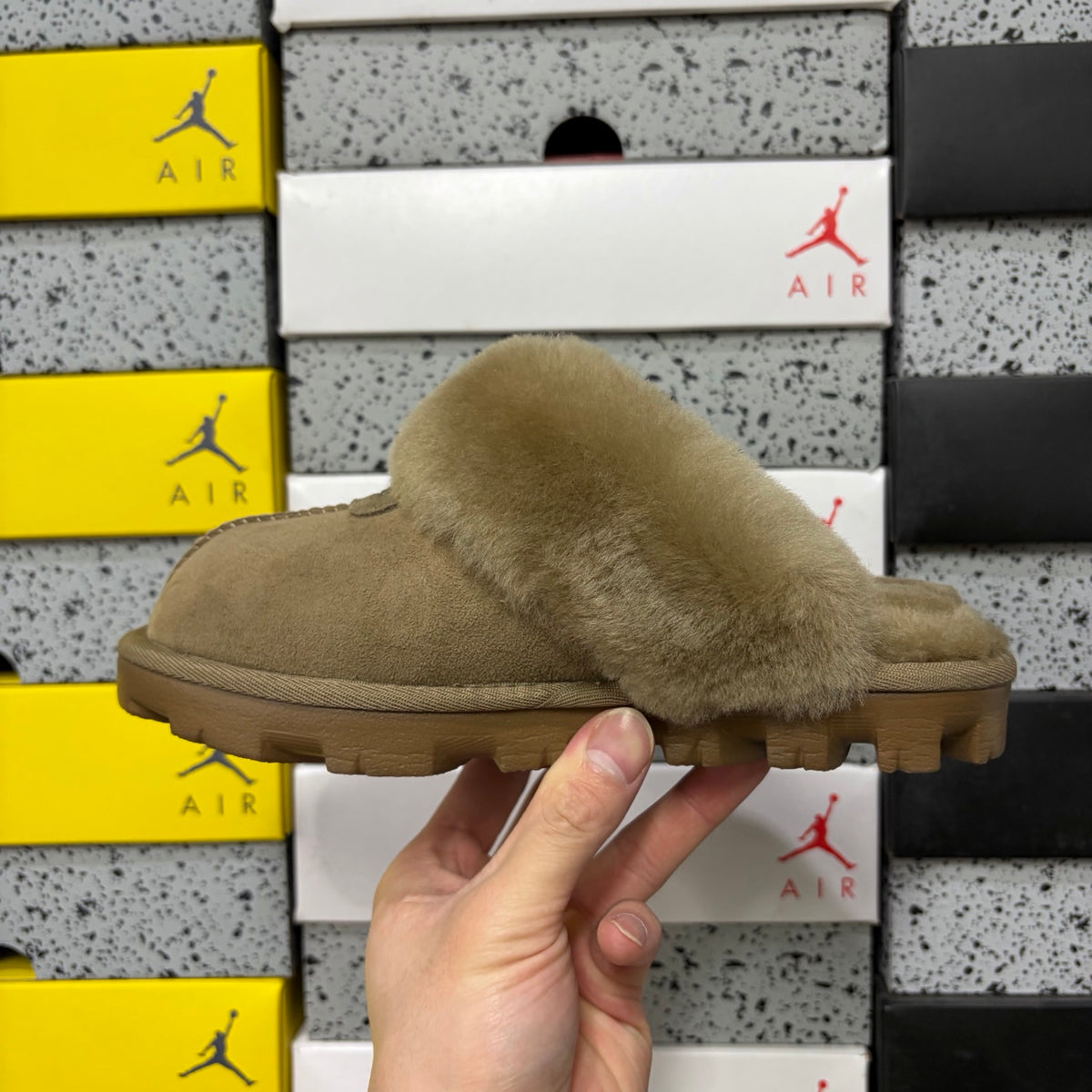 UGG Coquette Slipper – Antelope (Sizes 35–40)