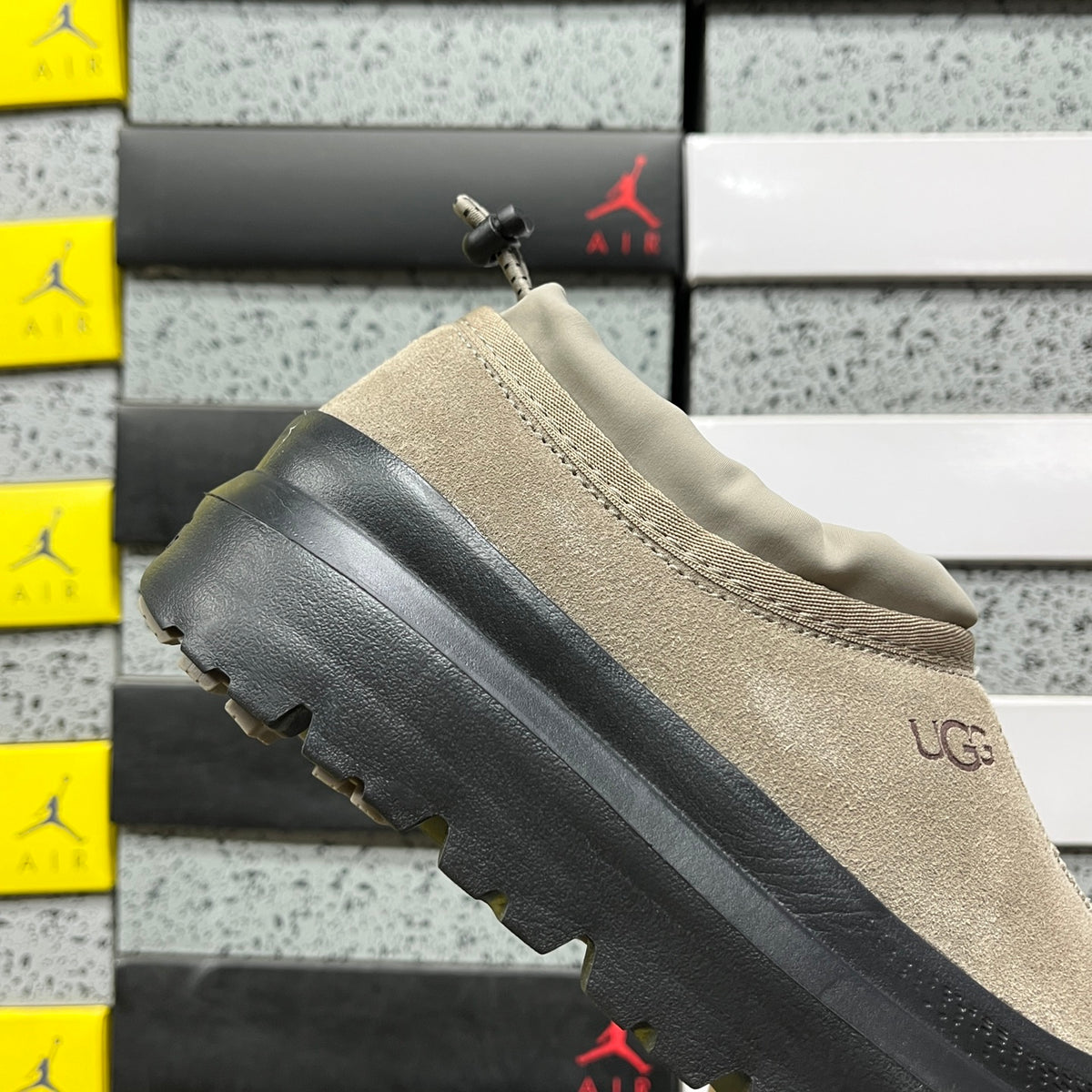 UGG Tasman Platform Sneaker – Smoke Plume (Sizes 35–45)