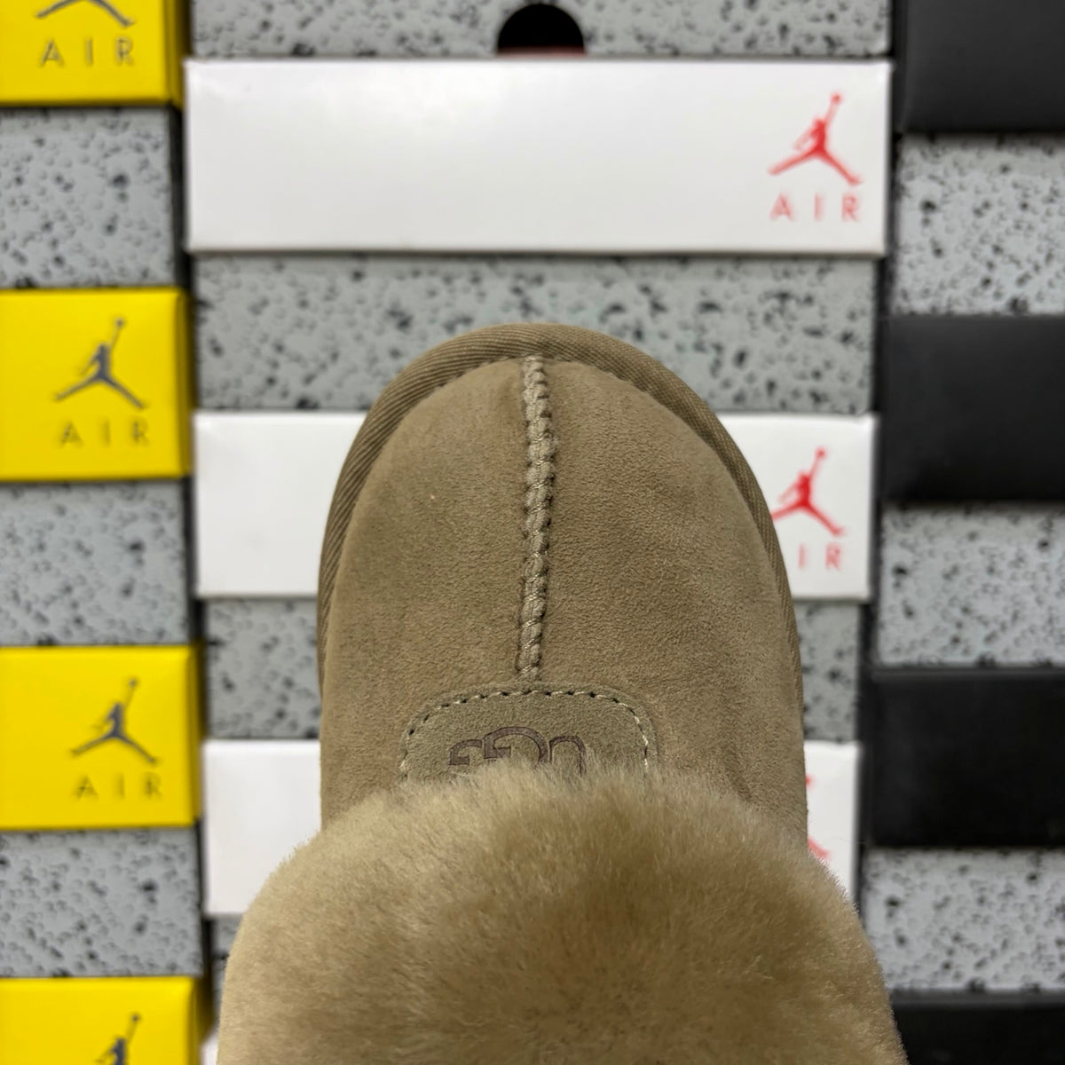 UGG Coquette Slipper – Antelope (Sizes 35–40)