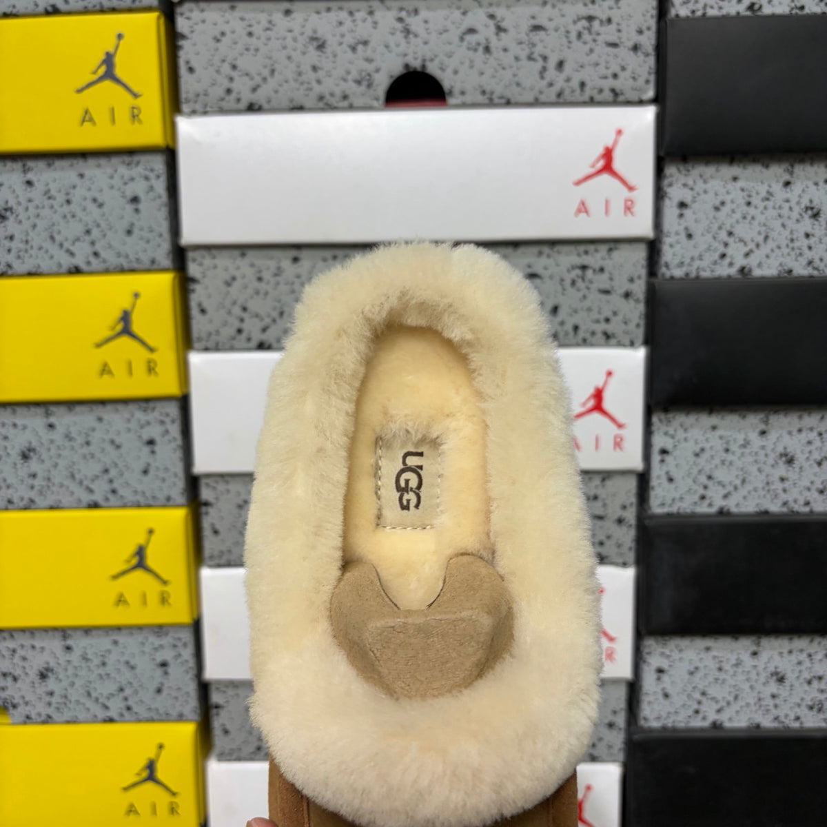 UGG Kallen Lace Moccasin – Chestnut (Sizes 35–40)