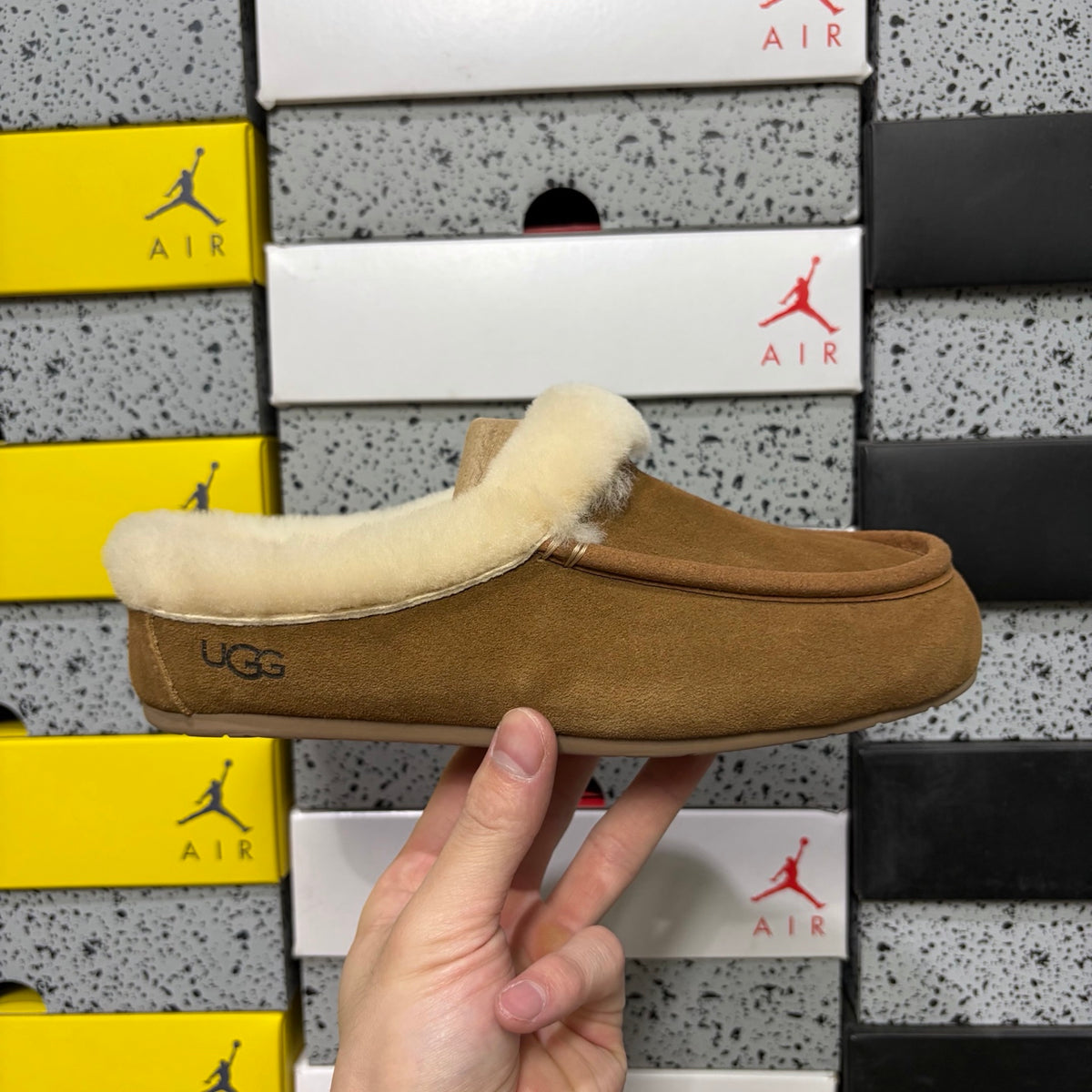 UGG Kallen Lace Moccasin – Chestnut (Sizes 35–40)